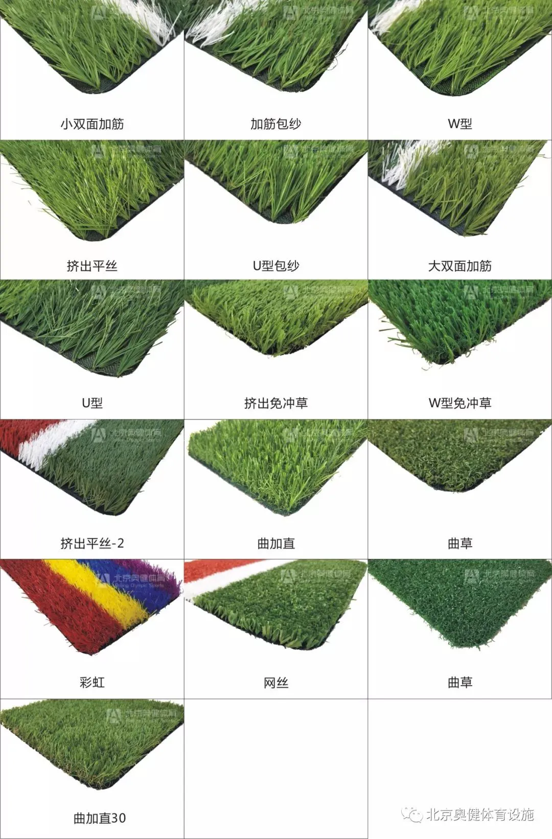 如何借助专业篮球教练提升个人声誉_1